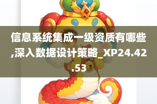 信息系统集成一级资质有哪些,深入数据设计策略_XP24.42.53