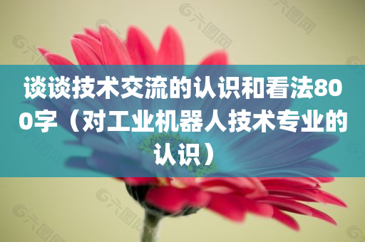 谈谈技术交流的认识和看法800字（对工业机器人技术专业的认识）