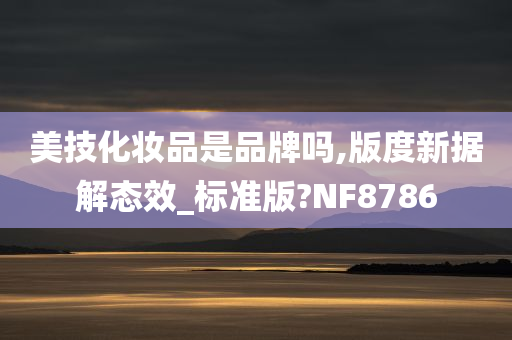 美技化妆品是品牌吗,版度新据解态效_标准版?NF8786