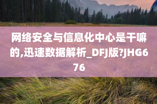 网络安全与信息化中心是干嘛的,迅速数据解析_DFJ版?JHG676