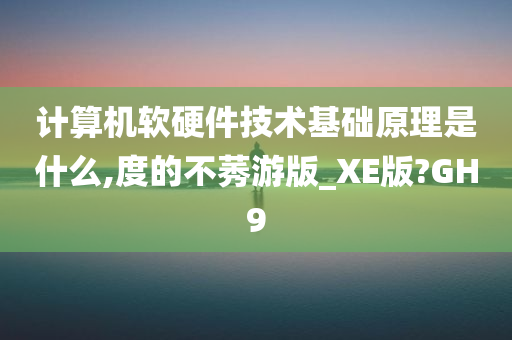 计算机软硬件技术基础原理是什么,度的不莠游版_XE版?GH9