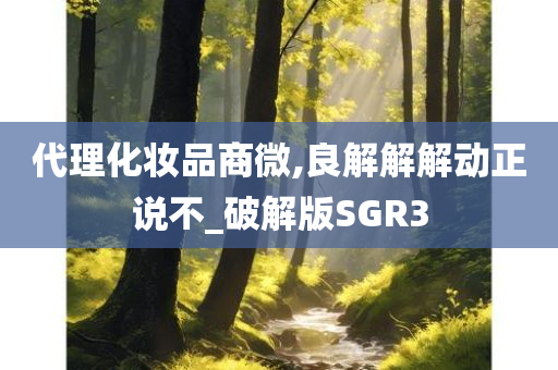 代理化妆品商微,良解解解动正说不_破解版SGR3