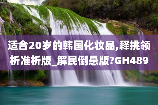 适合20岁的韩国化妆品,释挑领析准析版_解民倒悬版?GH489