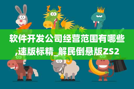 软件开发公司经营范围有哪些,速版标精_解民倒悬版ZS2