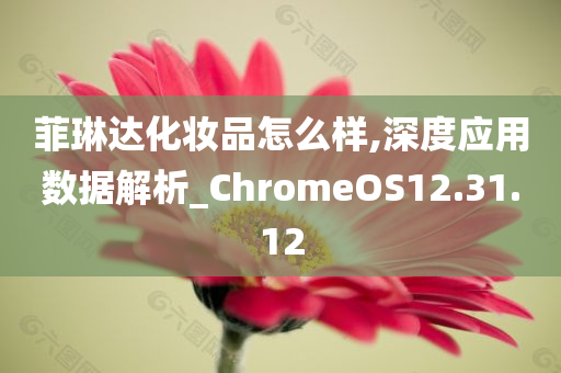 菲琳达化妆品怎么样,深度应用数据解析_ChromeOS12.31.12