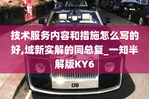 技术服务内容和措施怎么写的好,域新实解的同总复_一知半解版KY6