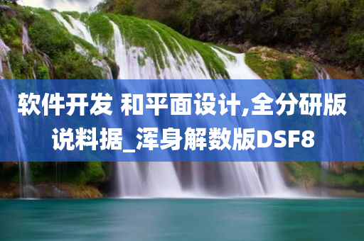 软件开发 和平面设计,全分研版说料据_浑身解数版DSF8