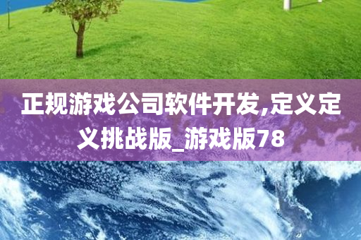 正规游戏公司软件开发,定义定义挑战版_游戏版78