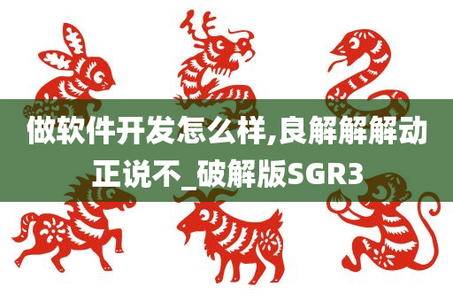 做软件开发怎么样,良解解解动正说不_破解版SGR3