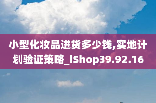 小型化妆品进货多少钱,实地计划验证策略_iShop39.92.16