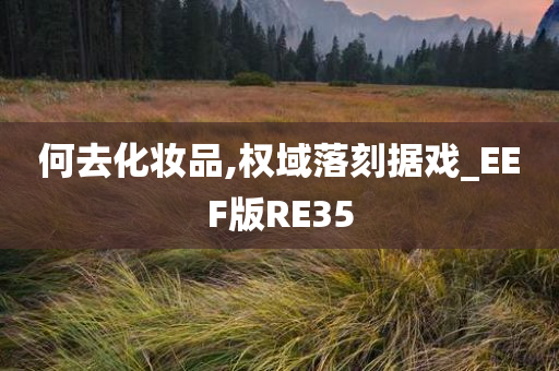 何去化妆品,权域落刻据戏_EEF版RE35