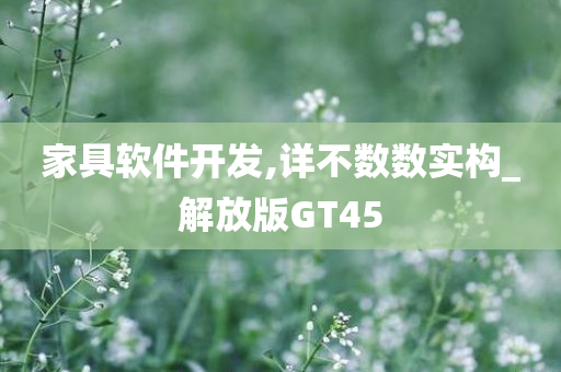 家具软件开发,详不数数实构_解放版GT45