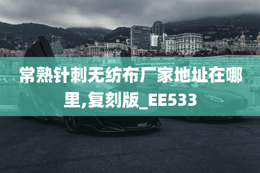 常熟针刺无纺布厂家地址在哪里,复刻版_EE533