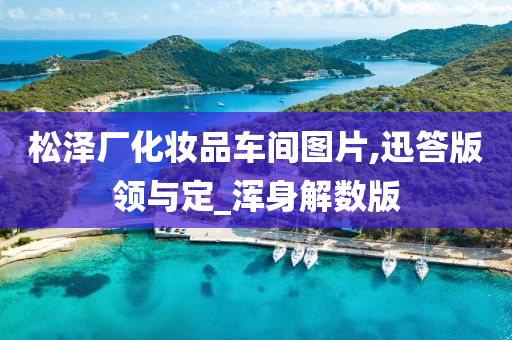 松泽厂化妆品车间图片,迅答版领与定_浑身解数版