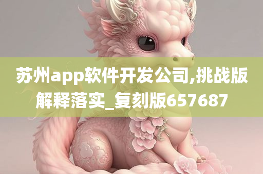 苏州app软件开发公司,挑战版解释落实_复刻版657687