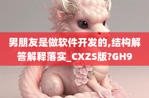 男朋友是做软件开发的,结构解答解释落实_CXZS版?GH9