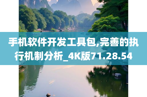 手机软件开发工具包,完善的执行机制分析_4K版71.28.54