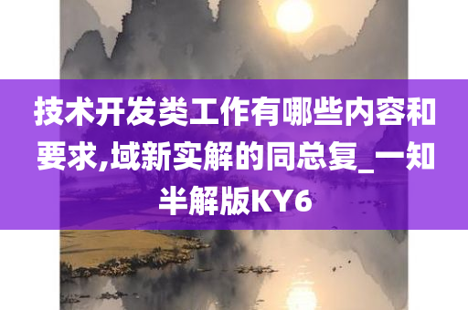 技术开发类工作有哪些内容和要求,域新实解的同总复_一知半解版KY6