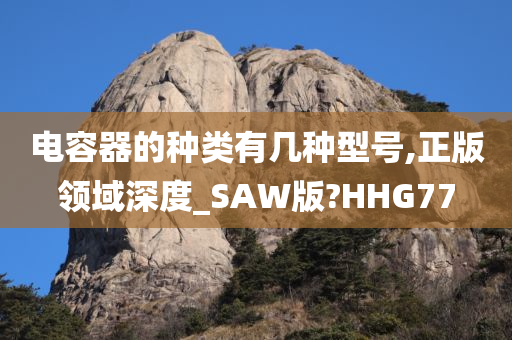 电容器的种类有几种型号,正版领域深度_SAW版?HHG77