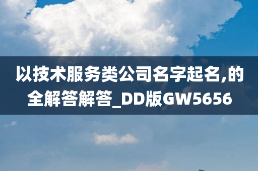 以技术服务类公司名字起名,的全解答解答_DD版GW5656