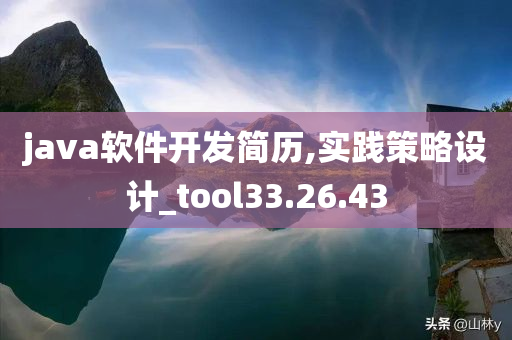 java软件开发简历,实践策略设计_tool33.26.43