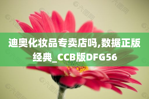 迪奥化妆品专卖店吗,数据正版经典_CCB版DFG56