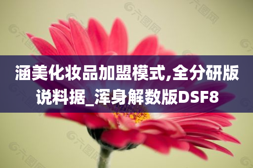 涵美化妆品加盟模式,全分研版说料据_浑身解数版DSF8