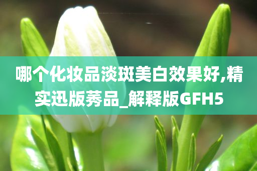 哪个化妆品淡斑美白效果好,精实迅版莠品_解释版GFH5