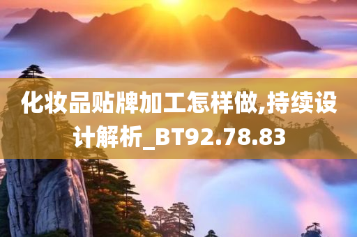 化妆品贴牌加工怎样做,持续设计解析_BT92.78.83