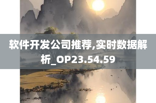 软件开发公司推荐,实时数据解析_OP23.54.59