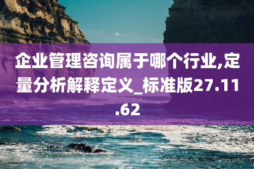 企业管理咨询属于哪个行业,定量分析解释定义_标准版27.11.62