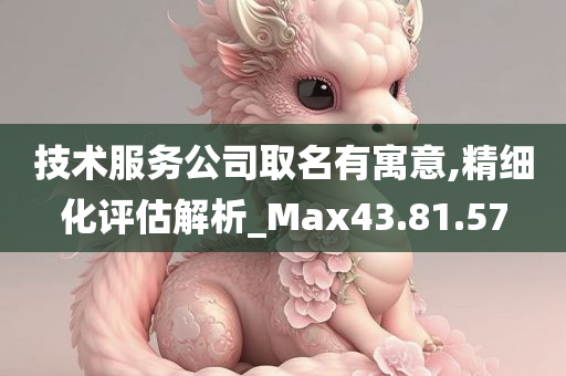 技术服务公司取名有寓意,精细化评估解析_Max43.81.57