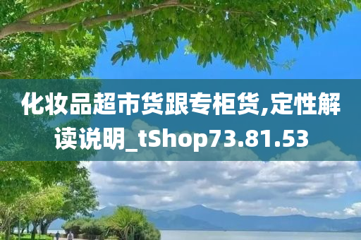 化妆品超市货跟专柜货,定性解读说明_tShop73.81.53