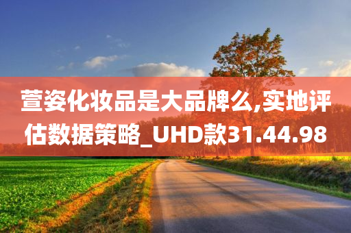 萱姿化妆品是大品牌么,实地评估数据策略_UHD款31.44.98