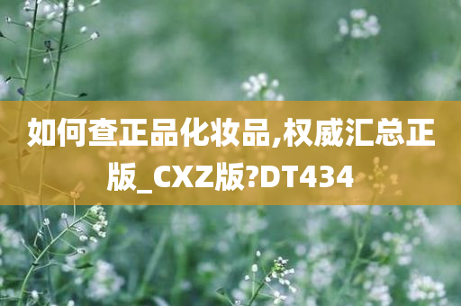 如何查正品化妆品,权威汇总正版_CXZ版?DT434