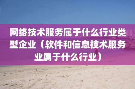 网络技术服务属于什么行业类型企业（软件和信息技术服务业属于什么行业）