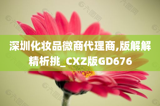 深圳化妆品微商代理商,版解解精析挑_CXZ版GD676