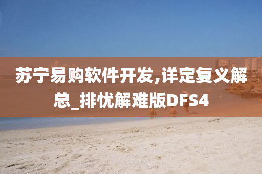 苏宁易购软件开发,详定复义解总_排忧解难版DFS4