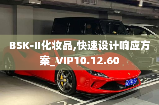 BSK-II化妆品,快速设计响应方案_VIP10.12.60