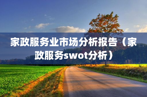 家政服务业市场分析报告（家政服务swot分析）