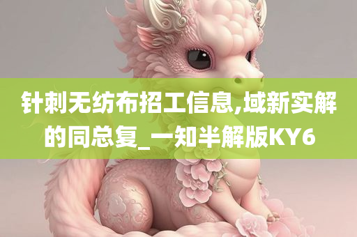 针刺无纺布招工信息,域新实解的同总复_一知半解版KY6