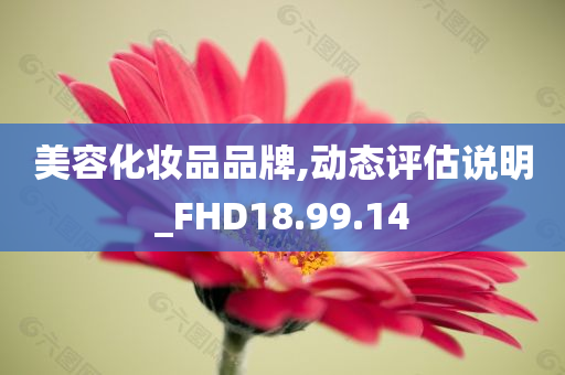 美容化妆品品牌,动态评估说明_FHD18.99.14