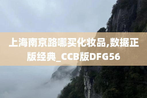 上海南京路哪买化妆品,数据正版经典_CCB版DFG56