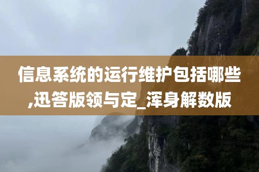 信息系统的运行维护包括哪些,迅答版领与定_浑身解数版