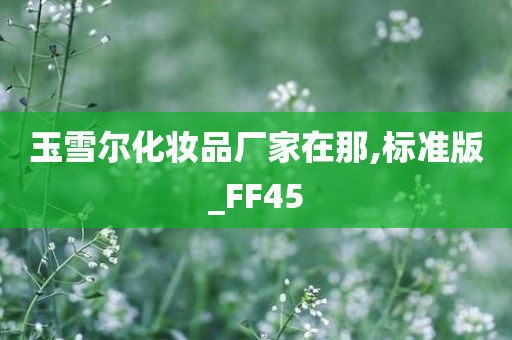 玉雪尔化妆品厂家在那,标准版_FF45