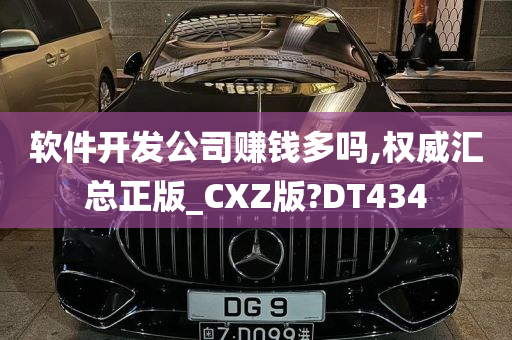 软件开发公司赚钱多吗,权威汇总正版_CXZ版?DT434