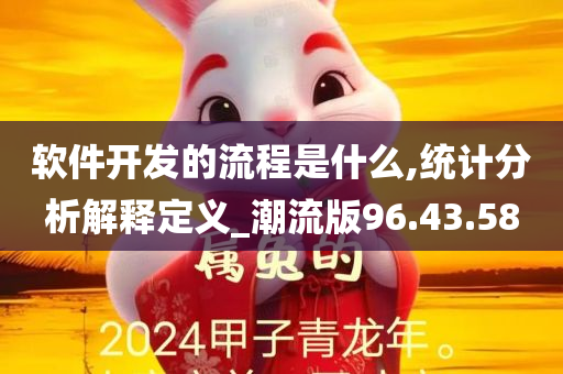 软件开发的流程是什么,统计分析解释定义_潮流版96.43.58