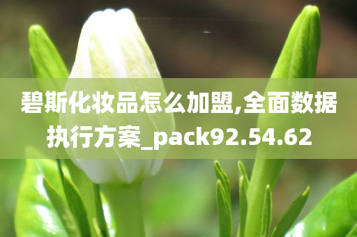 碧斯化妆品怎么加盟,全面数据执行方案_pack92.54.62