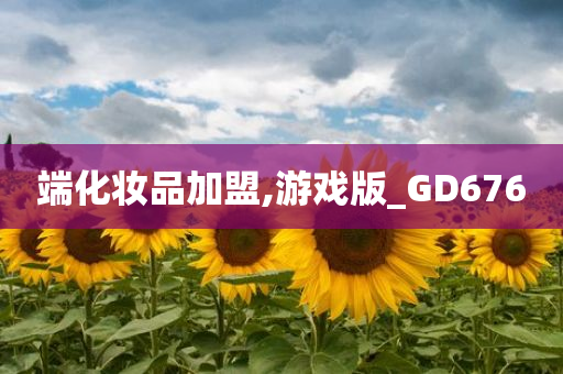 端化妆品加盟,游戏版_GD676