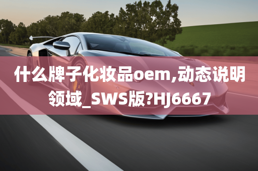 什么牌子化妆品oem,动态说明领域_SWS版?HJ6667